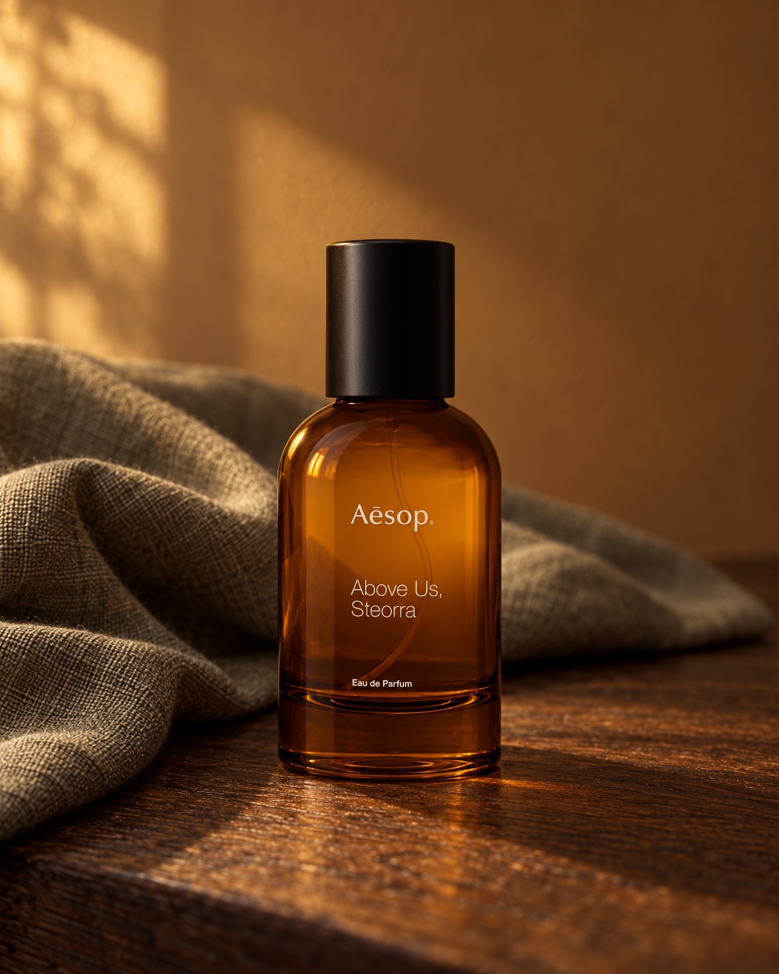 Aesop Above Us, Steorra — A warm trace, held
